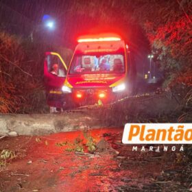 Motociclista fica preso por 30 minutos após árvore cair sobre ele durante forte vento em Maringá; Vídeo Foto 4 Fotos de Motociclista fica preso por 30 minutos após árvore cair sobre ele durante forte vento em Maringá; Vídeo