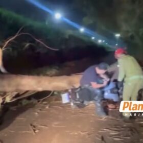 Motociclista fica preso por 30 minutos após árvore cair sobre ele durante forte vento em Maringá; Vídeo Foto 1 Fotos de Motociclista fica preso por 30 minutos após árvore cair sobre ele durante forte vento em Maringá; Vídeo