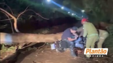 Fotos de Motociclista fica preso por 30 minutos após árvore cair sobre ele durante forte vento em Maringá; Vídeo