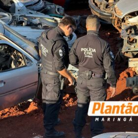 Fotos de Operação fecha desmanche ilegal de veículos em Sarandi