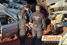 Fotos de Operação fecha desmanche ilegal de veículos em Sarandi