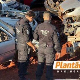 Fotos de Operação fecha desmanche ilegal de veículos em Sarandi
