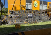 Fotos de Quase 3 toneladas de maconha que viriam para Maringá são apreendidas em carreta na PR-323; carga pode valer R$ 5 milhões