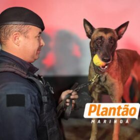 Fotos de ROMU Canil localiza drogas e cumpre mandado de prisão durante operação no Conjunto Requião, em Maringá