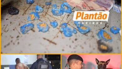 Fotos de ROMU Canil localiza drogas e cumpre mandado de prisão durante operação no Conjunto Requião, em Maringá