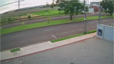 Fotos de Vídeo: avião com agricultores faz pouso de emergência em milharal no Norte do Paraná