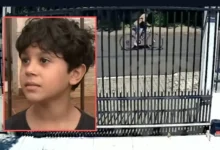 Fotos de Vídeo: Menino de 9 anos tem bicicleta roubada em Maringá ao chamar amigo para brincar; ‘quando olhei, ele já estava levando’, diz