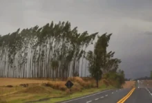 Fotos de Virada no tempo no Paraná: frente fria traz chuvas, risco de tempestades e queda nas temperatura