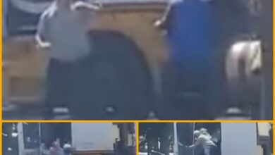 Fotos de Motorista de carreta e motoboy brigam em cruzamento movimentado de Maringá