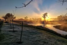 Fotos de 1°C e geadas: Nova massa de ar frio despenca as temperaturas no Paraná