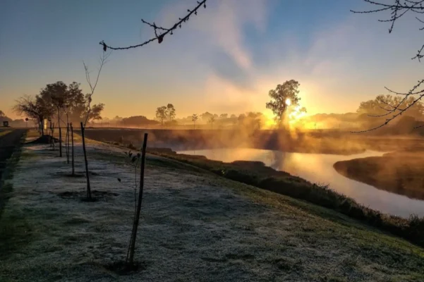 Fotos de 1°C e geadas: Nova massa de ar frio despenca as temperaturas no Paraná