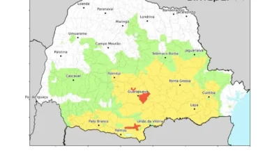 Fotos de -2,4°C: Todas as cidades do Paraná superam recorde de menores temperaturas pelo 2º dia consecutivo