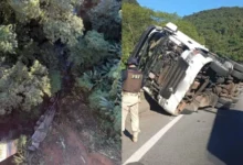 Fotos de Caminhão cai 80 metros em acidente na BR-277 e passageira morre ejetada no PR