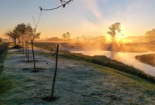 Fotos de Frio intenso avança no Paraná: 142 municípios entram em alerta de geada e previsão indica 0°C nesta semana; veja a lista completa