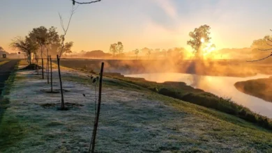 Fotos de Frio intenso avança no Paraná: 142 municípios entram em alerta de geada e previsão indica 0°C nesta semana; veja a lista completa