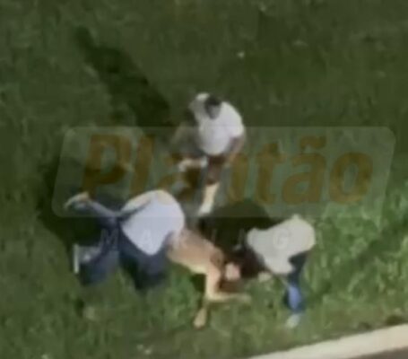 Fotos de Inicio
