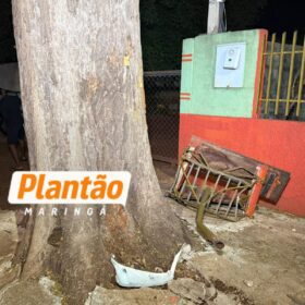 Fotos de Motociclista que teve perna amputada em acidente em 2024 morre após bater contra árvore neste domingo; câmera registrou acidente