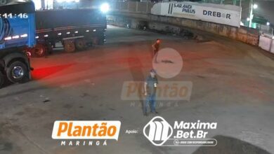 Fotos de Motorista de ônibus atropela e mata cachorro em pátio de borracharia em Sarandi