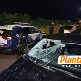 Fotos de Motorista embriagado atropela e mata pedestre em Maringá