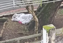 Fotos de Mulher dormindo é confundida com cadáver e autoridades localizam desaparecida no PR