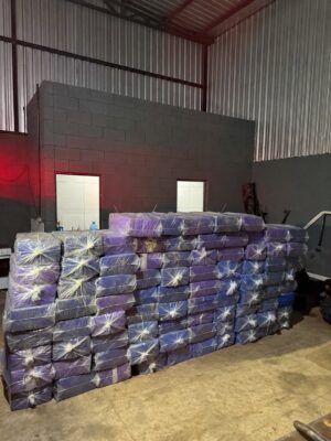 Noroeste: Polícia descobre depósito, apreende mais de duas toneladas de maconha e prende cinco por sequestro e tráfico Foto 1 Fotos de Noroeste: Polícia descobre depósito, apreende mais de duas toneladas de maconha e prende cinco por sequestro e tráfico