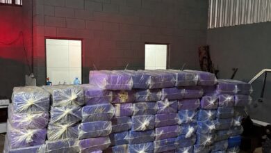 Fotos de Noroeste: Polícia descobre depósito, apreende mais de duas toneladas de maconha e prende cinco por sequestro e tráfico