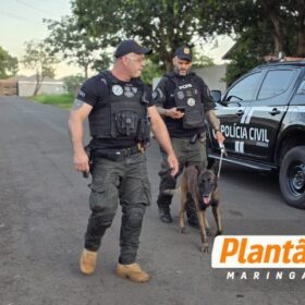 Fotos de Operação da Polícia Civil mira grupo ligado ao tráfico e investigado por homicídios em Santa Fé e Sarandi