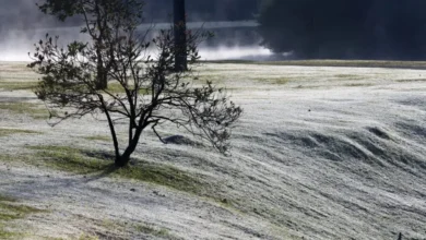 Fotos de Paraná se prepara para virada no tempo com chuva, frio intenso de 0ºC e geadas; veja previsão do tempo atualizada