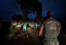 Fotos de Quase 48 horas após vendaval, 233 imóveis seguem sem energia em Maringá
