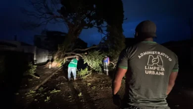 Fotos de Quase 48 horas após vendaval, 233 imóveis seguem sem energia em Maringá