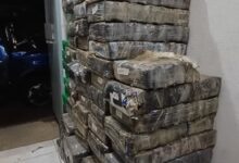 Fotos de Quase uma tonelada de maconha é apreendida após perseguição na região; motorista de 29 anos foi preso