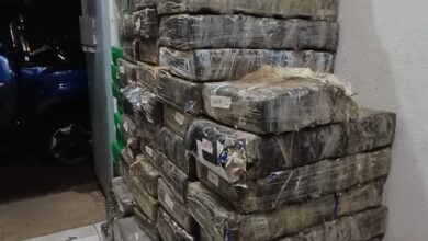 Fotos de Quase uma tonelada de maconha é apreendida após perseguição na região; motorista de 29 anos foi preso