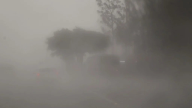 Fotos de Tempo vira, 281 cidades entram em alerta de chuva no Paraná e nova onda de frio já se aproxima