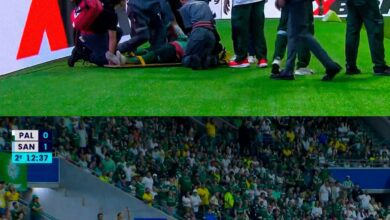Fotos de Torcedor que invadiu gramado durante jogo de Palmeiras e Santos é morador da região de Maringá