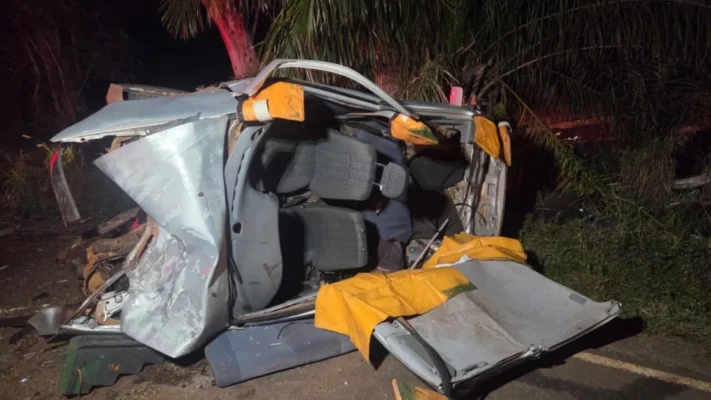 Veículo colide contra árvore em rodovia e condutor é encaminhado ao HU de Maringá Foto 1 Fotos de Veículo colide contra árvore em rodovia e condutor é encaminhado ao HU de Maringá
