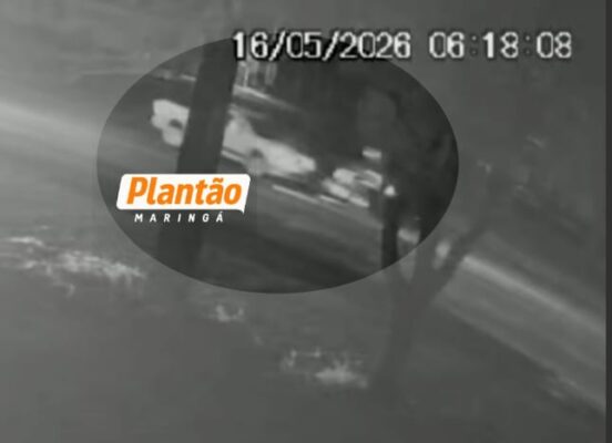 Fotos de Inicio