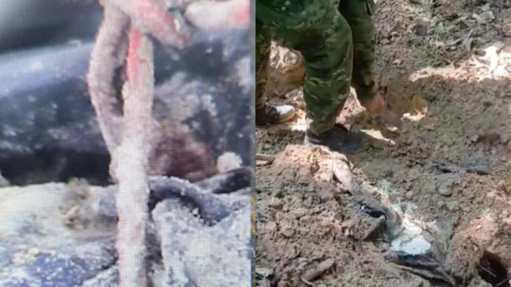 Fotos de 10 meses depois, novos laudos revelam possível tortura em chacina dos quatro mortos de Icaraíma