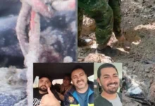Fotos de 10 meses depois, novos laudos revelam possível tortura em chacina dos quatro mortos de Icaraíma