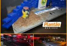 Fotos de Choque de Maringá apreende 52 quilos de maconha e recupera dois veículos roubados