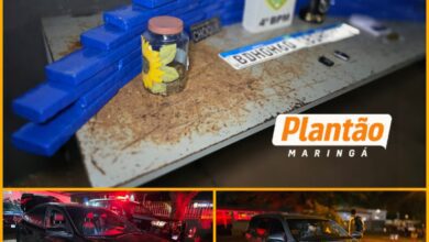 Fotos de Choque de Maringá apreende 52 quilos de maconha e recupera dois veículos roubados