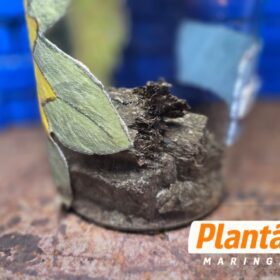Choque de Maringá apreende 52 quilos de maconha e recupera dois veículos roubados Foto 7 Fotos de Choque de Maringá apreende 52 quilos de maconha e recupera dois veículos roubados