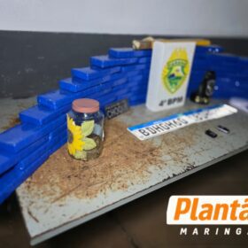 Choque de Maringá apreende 52 quilos de maconha e recupera dois veículos roubados Foto 8 Fotos de Choque de Maringá apreende 52 quilos de maconha e recupera dois veículos roubados