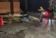 Fotos de Ciclista de 29 anos morre ao colidir contra poste