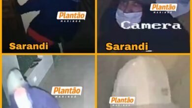 Fotos de Criminosos que invadiram chácara em Marialva também furtaram propriedade rural em Sarandi e furtaram pistola; veja o vídeo