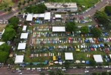 Fotos de Dia Mundial do Fusca: Maringá recebe festival de carros antigos com atrações musicais e telão para a Copa