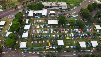 Fotos de Dia Mundial do Fusca: Maringá recebe festival de carros antigos com atrações musicais e telão para a Copa