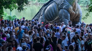 Fotos de Dinossauros colocam Maringá na rota do turismo e atraem visitantes de outras cidades e estados