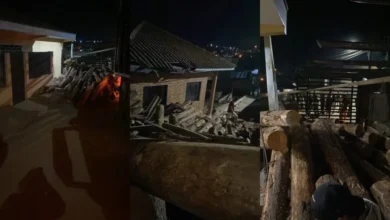 Fotos de Imagens impressionantes mostram caminhão com toras tombando sobre casa no PR;