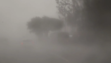 Fotos de Maringá e mais 31 cidades da região já estão em alerta de tempestade com risco de ventos de até 100 km/h; veja a lista completa