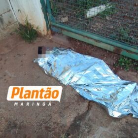 Moça encontrada desacordada em Maringá relata sequestro após sair de conveniência em Londrina Foto 3 Fotos de Moça encontrada desacordada em Maringá relata sequestro após sair de conveniência em Londrina